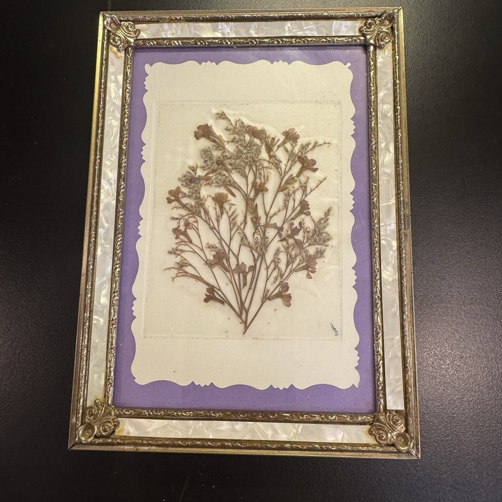 VTG Faux Mother of Pearl Frame Metal Ornate‎ Pressed Flowers Hollywood Regency